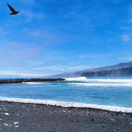 Apartment Best Location Near Beach & Lagomartianez Wifi Enjoy It !!! Puerto de la Cruz (Tenerife)