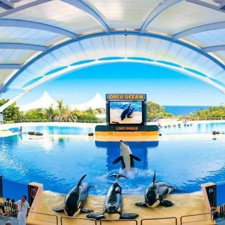 Apartment Best Location Near Beach & Lagomartianez Wifi Enjoy It !!! *